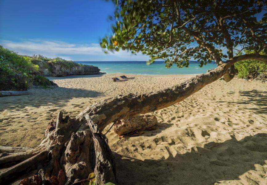 Amazing Condos at Sosua Ocean Village Esterno foto